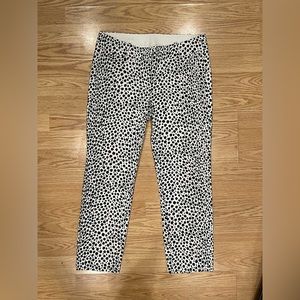 Ann Taylor Carnegie Crop White And Black Dotted Pants